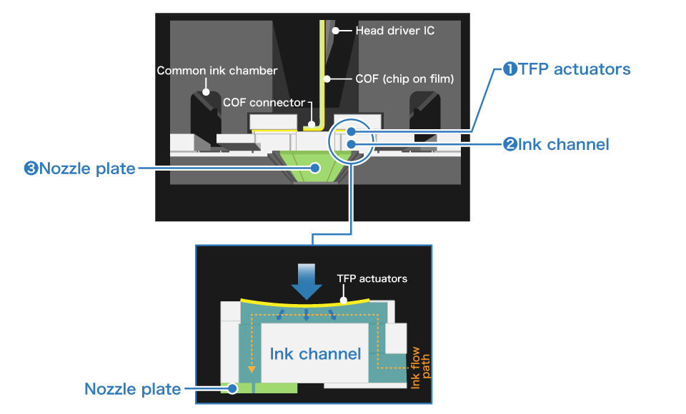 MicroTFP print chip