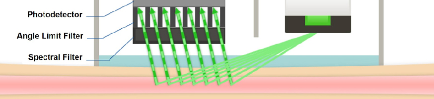 Vital Sign Sensing