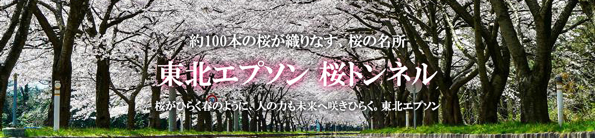 東北エプソン 桜トンネル