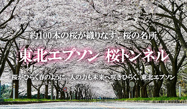 東北エプソン 桜トンネル