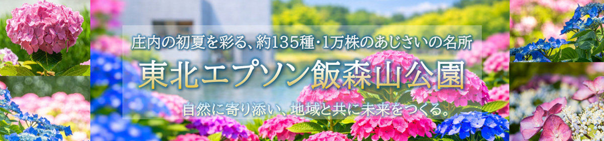 東北エプソン 飯森山公園