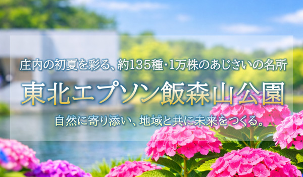 東北エプソン 飯森山公園