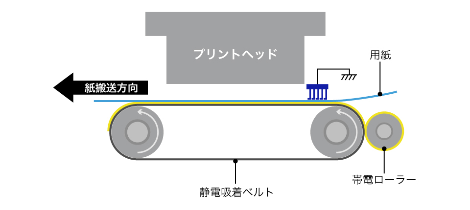静電吸着ベルト