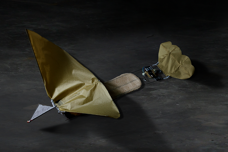 キャラリー画像7